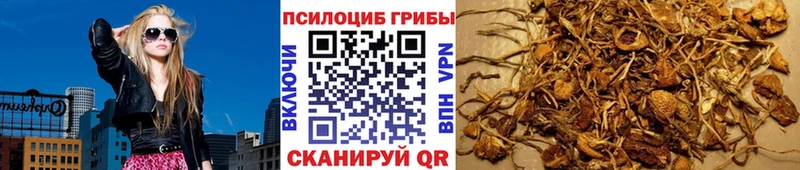 Галлюциногенные грибы Psilocybe  Купить  Армавир